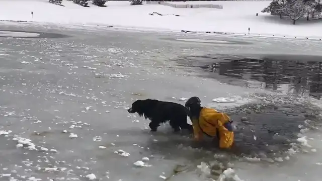 The dog crashes in an ice lake and can't move. Firefighters save the dog in 10 seconds: Watch out for the dog