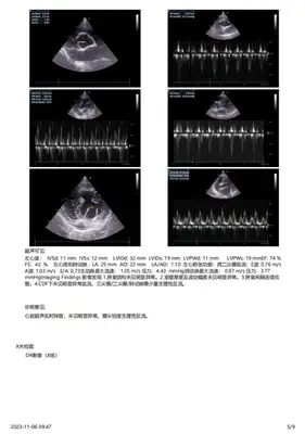 Diagnosis and treatment of a dog testicular tumor