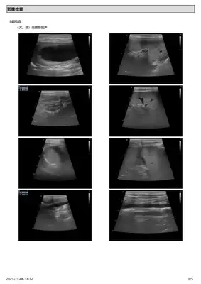 Diagnosis and treatment of a dog testicular tumor