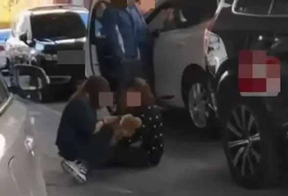 Walking a dog without a leash makes a dog run over by a car and a woman starts crying in her face