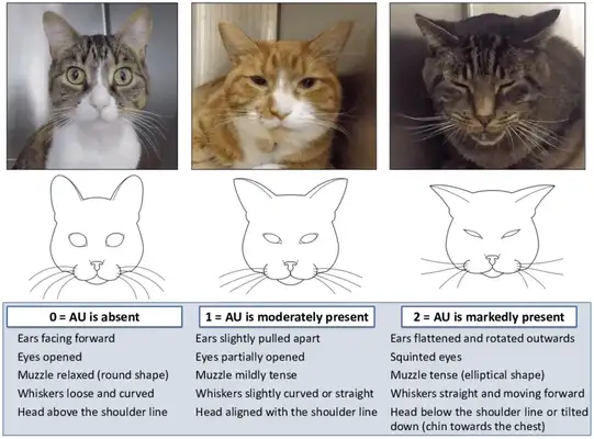 Cats hide 14 subtle signs of pain, do you notice