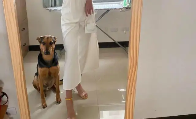 A woman walks a dog at night in the park and loses her love dog, and she takes the elevator home