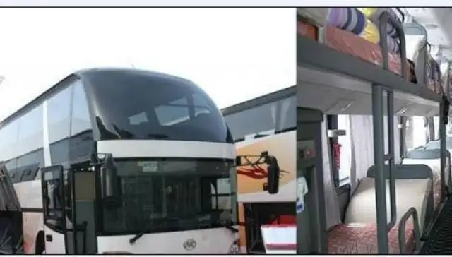 Landing of municipal pets for cat and dog transport - door to door