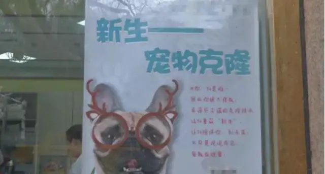 The pet dog is immortal
