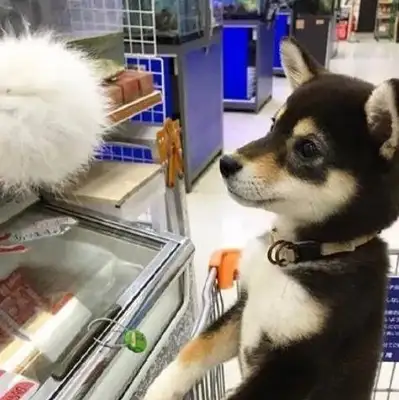 And when the master brought him to the supermarket, he saw the sausage and he was excited: