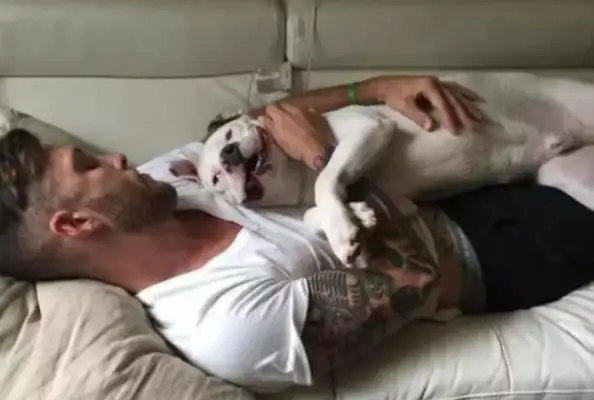 I can't believe they found a picture of him and his dog on the Internet. The door