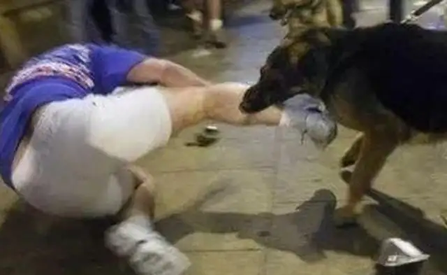 Late in the night, the mysterious "Doggy Eyes Low" incident occurred, and the son beat his girlfriend to death