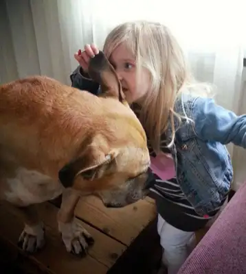 My father took pictures of my daughter and his dog in a close moment