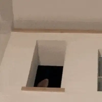 Come on in, freshman