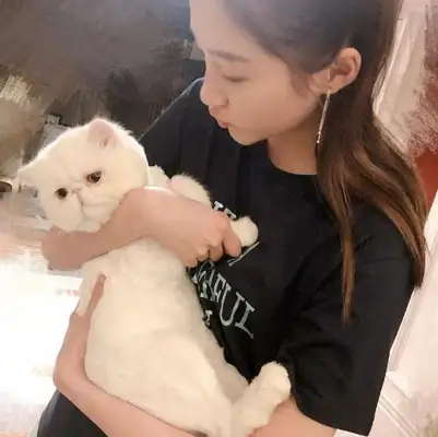 Seeing Guan Xiaojun name to the dog, netizens laugh: more than I do