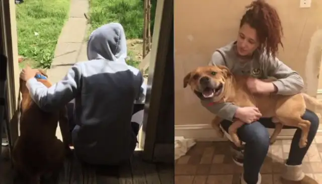 The dog went missing and was adopted by the same master two years later