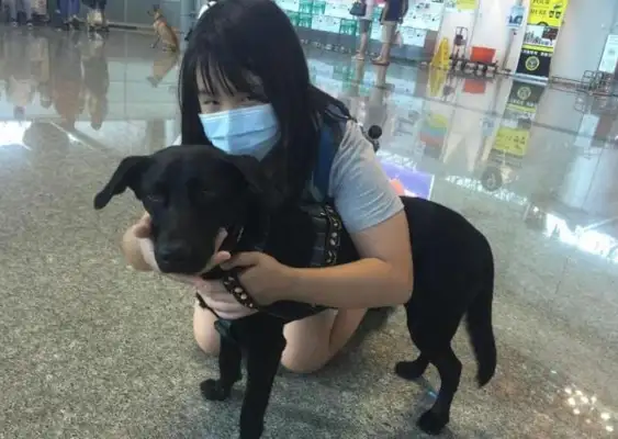 The dog's been strangled. The girl doesn't listen