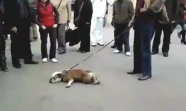 The man doesn't buy the dog meat. The passersby can't handle him