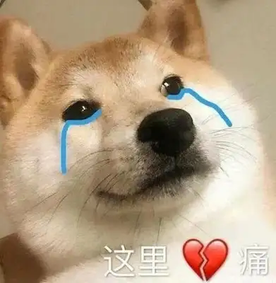 Seeing Guan Xiaojun name to the dog, netizens laugh: more than I do