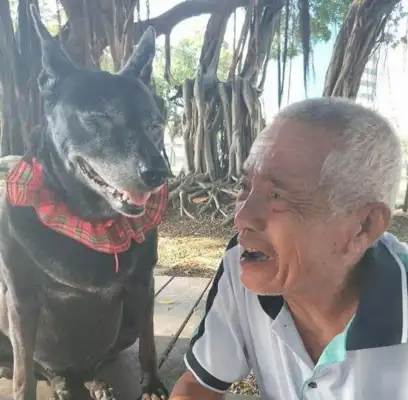 How did a dog survive 25 years? 80-year-old grandfather: Please take more pictures with him