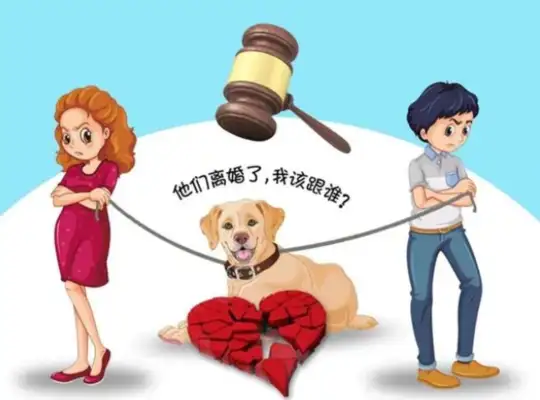 The couple get divorced, they don't fight for a car, they fight for a dog