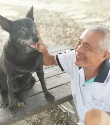 How did a dog survive 25 years? 80-year-old grandfather: Please take more pictures with him