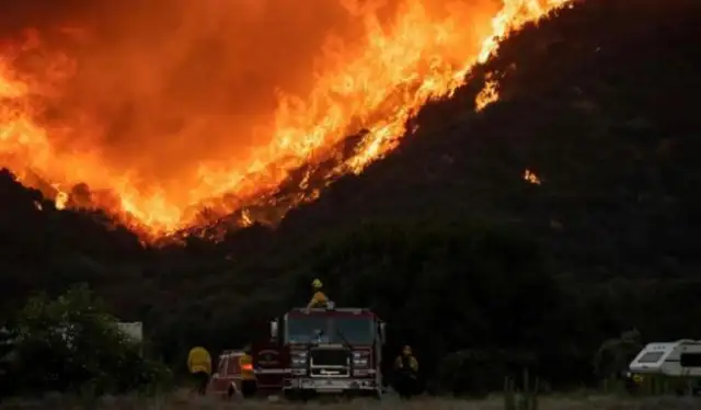 Look at the dog rushing into the fire without hope