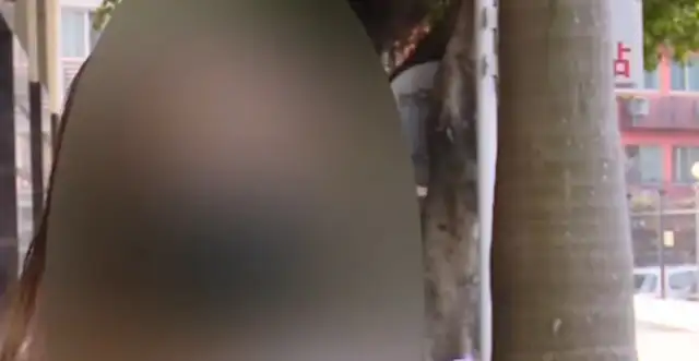 A man gets drunk late at night and beats a dog, and his daughter sees the whole thing