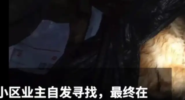 A man gets drunk late at night and beats a dog, and his daughter sees the whole thing