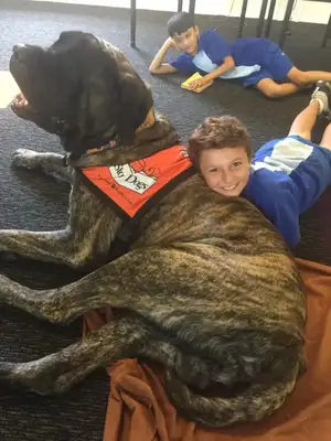 Big dogs spend more than 1,300 a week on food, and it looks like they're child-reading dogs
