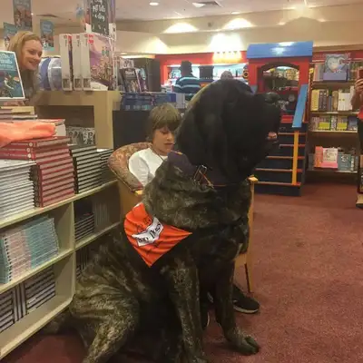 Big dogs spend more than 1,300 a week on food, and it looks like they're child-reading dogs