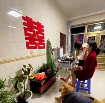 When Liaoning was married, he kissed his grandfather with his eight-year-old dog's eyes