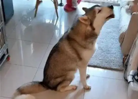 Dad's out of the house, he's in love with a man and a woman
