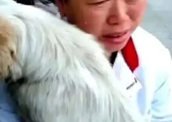 The stray dog jumped on the street and thought he was trying to bite until the dog cried