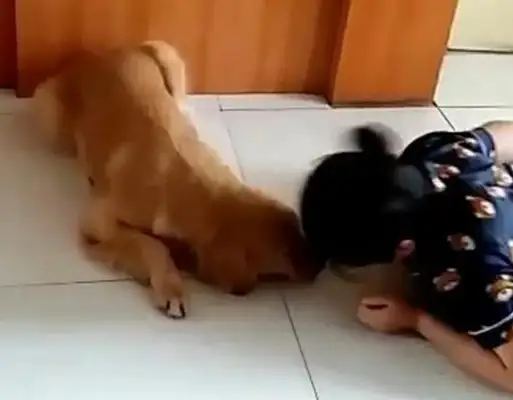 The master tests the dog, plays dead, and the dog moves so warm