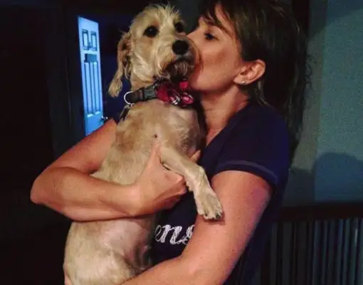 An unexpected delivery of a pregnant woman in a stray car, assisted by a husband and wife, and six beautiful dogs were born