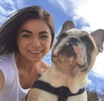 My beloved bulldog is missing, and Doo-chan is searching for dogs this way