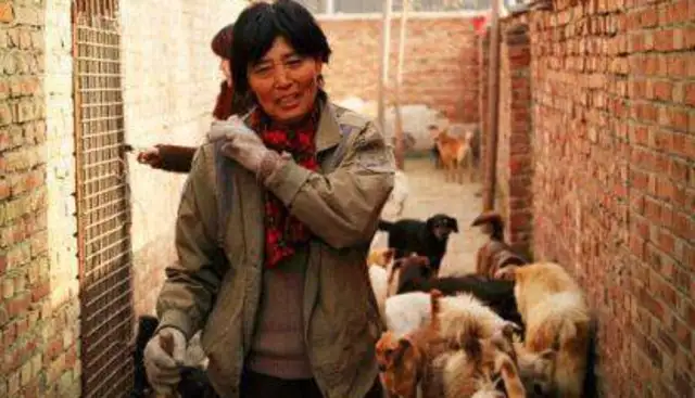 The rescue was never done by one person, but she lasted 20 years for over 600 stray dogs;