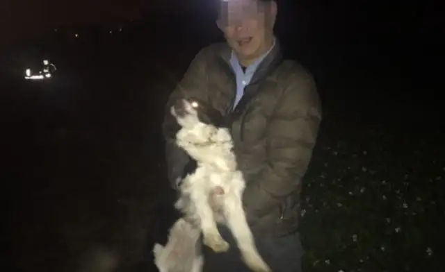 The shepherd ran away late at night, and the police officers on duty jumped off the field to take him home
