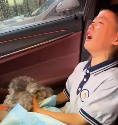 My son couldn't cry when he found out