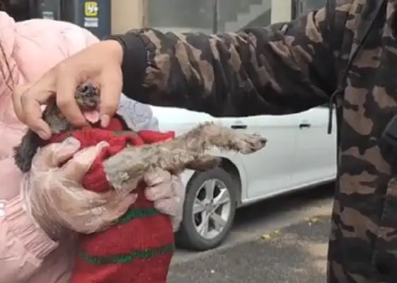 All his teeth were removed and his jaw was wounded. People