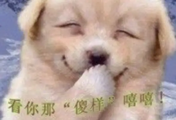 A girl picks up a stray dog and the dog smiles on his head: You got the treasure