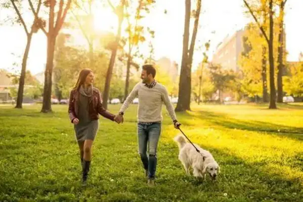If you break up, you'll be abandoned. What did the dog do wrong