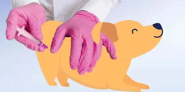 Eight ways to prevent a small virus
