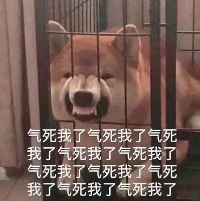 If you break up, you'll be abandoned. What did the dog do wrong