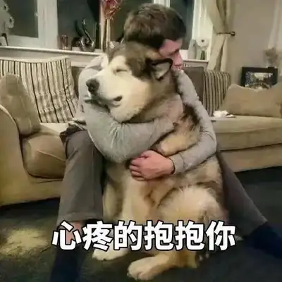 If you break up, you'll be abandoned. What did the dog do wrong