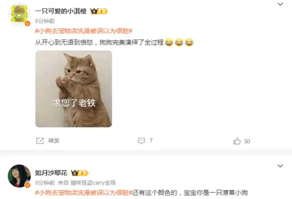 The dog went to the pet store to take a bath and was mistaken for being dirty