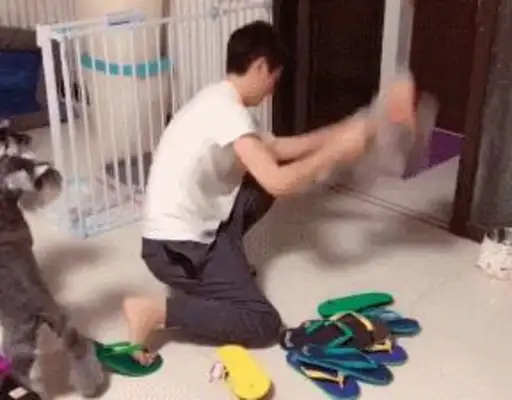 To teach dogs not to bite their slippers, the master used to show them how to scare each other