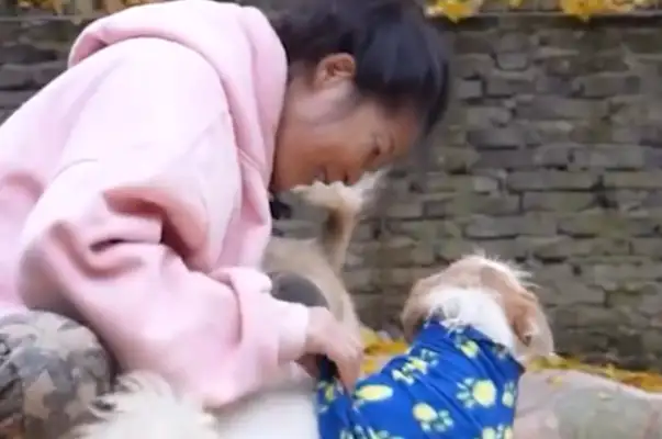 Warm! A woman teacher in Hangzhou has been helping stray dogs for 20 years
