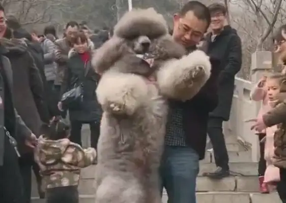 I don't know what it's like to climb a mountain with a hundred pounds of valor