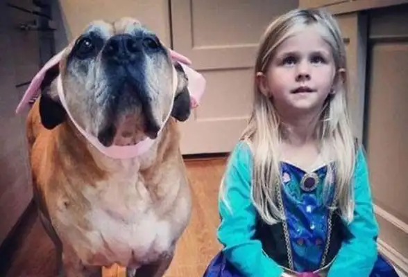 Girls and dogs live and die: friendship between people and dogs moved
