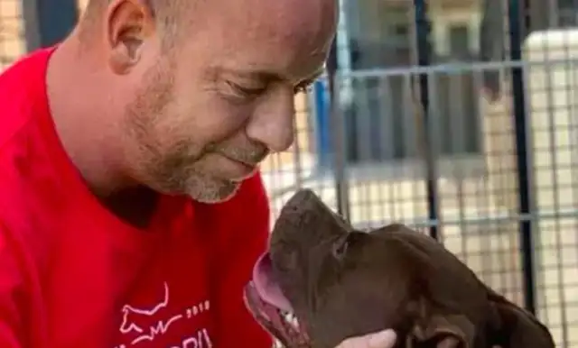 The dog was uninhabited for a year at the shelter, so he moved into a cage and slept with it