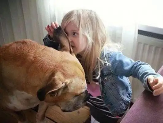 Girls and dogs live and die: friendship between people and dogs moved