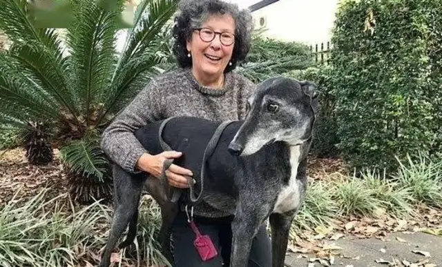 An 11-year-old dog who had lymphoma cancer would have been alive soon, but had been vaccinated against his own tumor