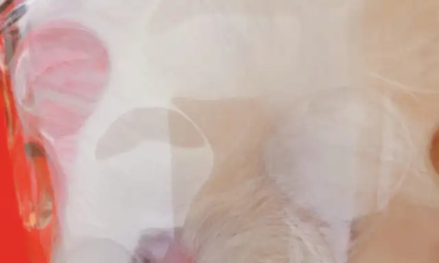 Make Allah a dog claw cup. When you see this big pig's hoof, the master laughs: